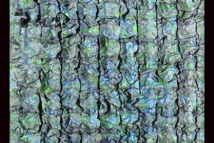 Anke Pradel-Schönknecht: Blue Squares