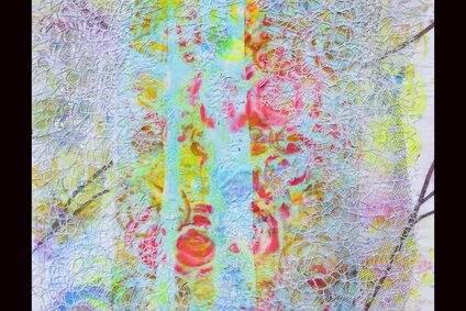 Anke Pradel-Schönknecht: Feuer und Eis