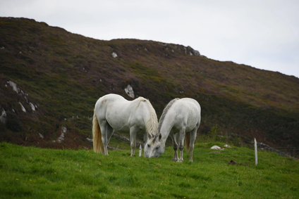 Autor fotografie: Jana Pitrová