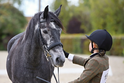 Autor fotografie: Viktor Král