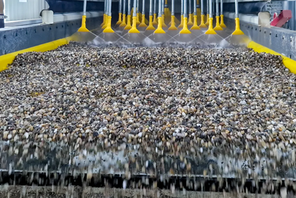 ISENMANN ví, jaké faktory jsou rozhodující pro proces třídění | © ISENMANN Siebe GmbH ISENMANN ví, jaké faktory jsou rozhodující pro proces třídění | © ISENMANN Siebe GmbH