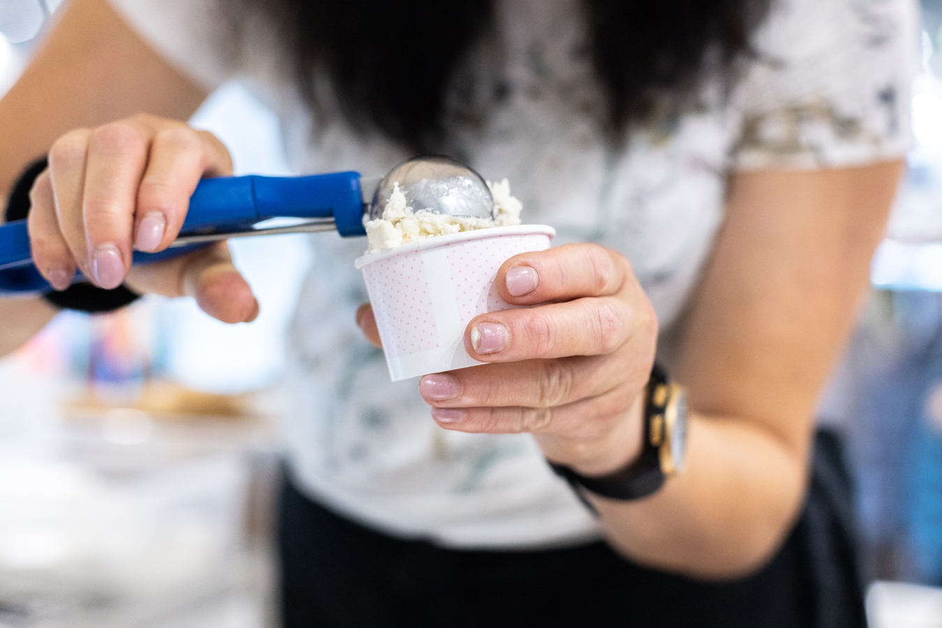 Campani gelato je výjimečná zmrzlina | BVV CZ